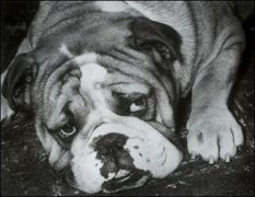 �p�������İY����F