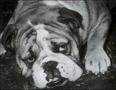 �p�������İY����F